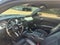 2011 Ford Mustang V6 Premium