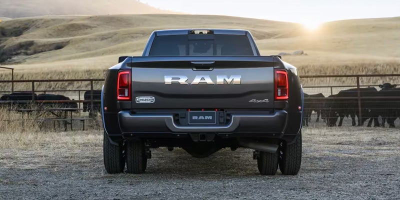 Rear view of a dark gray Ram dually truck in a rural setting with cattle behind a fence.